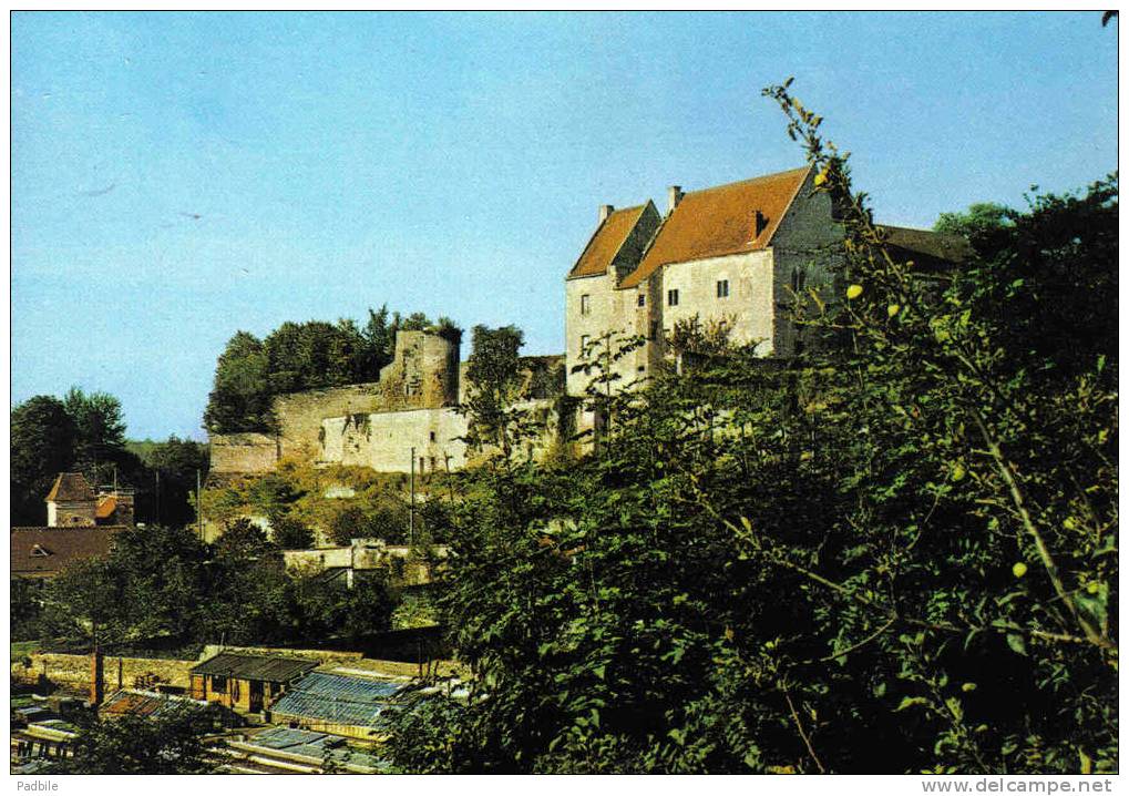 Carte Postale 60. Crepy-en-Valois  Le Chateau Des Ducs Très Beau Plan - Crepy En Valois