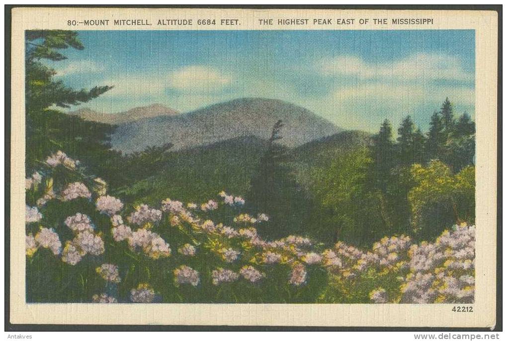 USA Postcard Mount Mitchell 6684 Feet, Mississippi - Autres & Non Classés