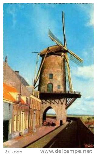 MOULIN / MOLEN  Holland RUYSDAEL - Wijk Bij Duurstede