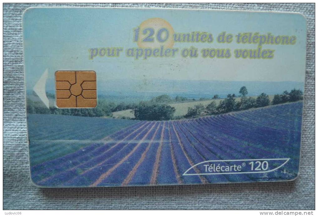 THC2 - TELECARTE HORS CATEGORIE - LAVANDE - 120 GEM2 - Autres & Non Classés