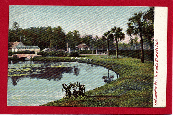 Pond In Riverside Park, Jacksonville, FL.    1901-1907 - Jacksonville