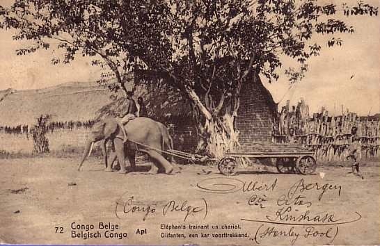 CONGO BELGE ** BELGISCH CONGO  BELGIUM **  10 CENTIMES **  NO 72 API ELEPHANTS TRAINANT UN CHARIOT ** OLIFANTEN  ... - Ganzsachen