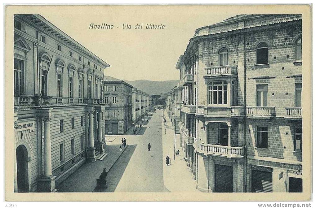 Cartolina -  AVELLINO - VIA DEL LITTORIO - ANIMATA - CAMPANIA - Avellino