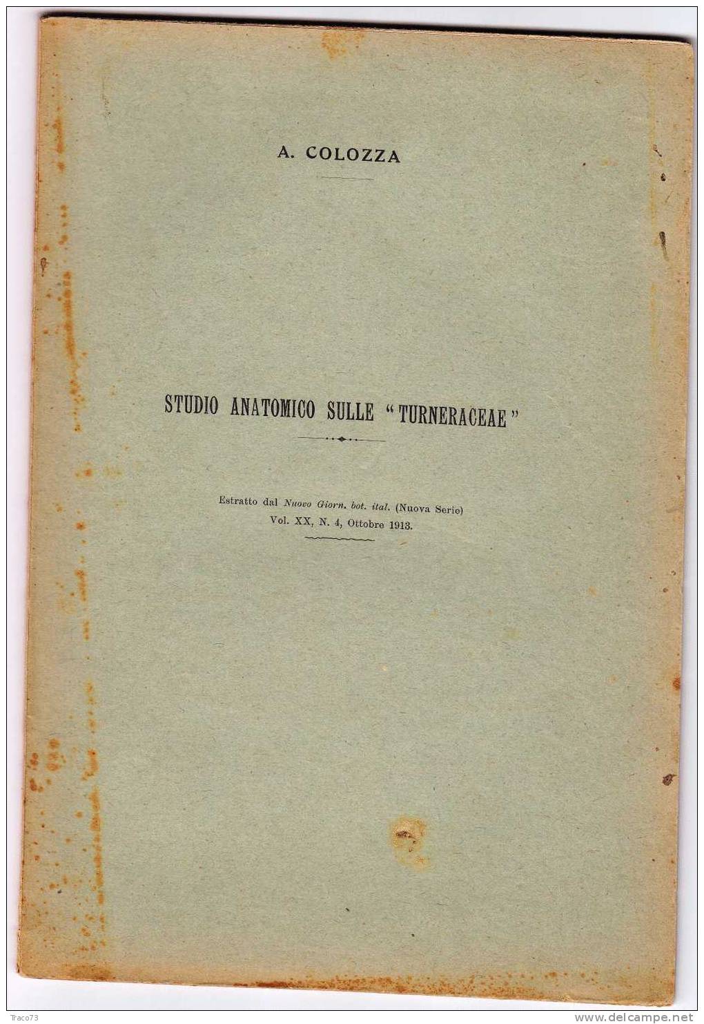 Studio Anatomico Sulle  " Turneraceae " Estratto Dal Nuovo Giorn. Bot. Ital. (Nuova Serie),  Ottobre 1913 - Altri & Non Classificati