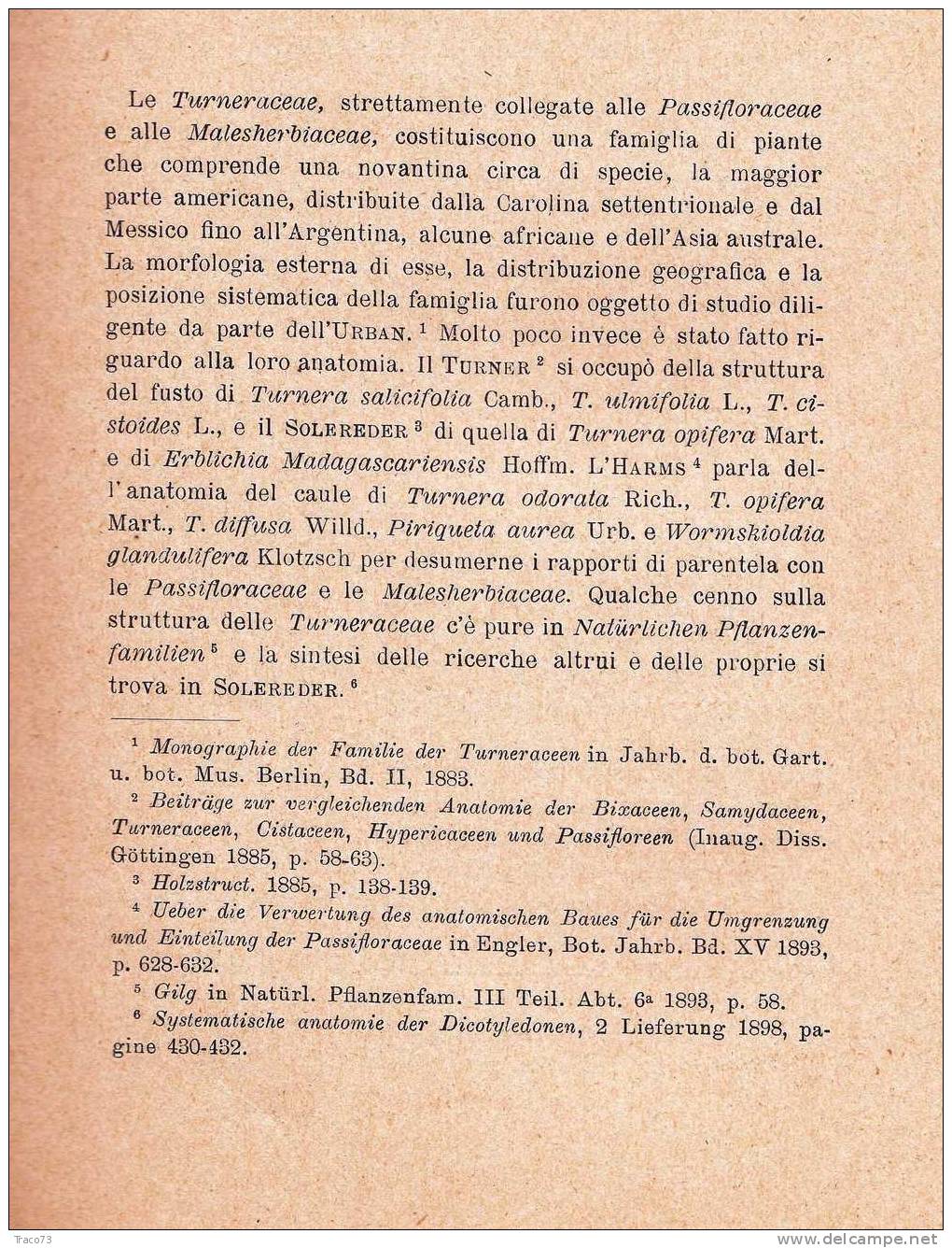 Studio Anatomico Sulle  " Turneraceae " Estratto Dal Nuovo Giorn. Bot. Ital. (Nuova Serie),  Ottobre 1913 - Altri & Non Classificati