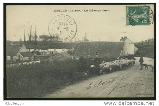 45 AMILLY / La Mère-de-Dieu / - Amilly