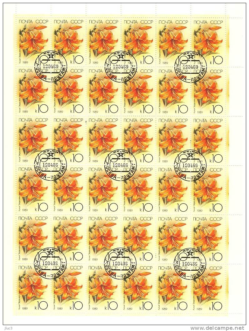 FCO5611 - URSS 1989 - LA Belle FEUILLE De 36 TIMBRES  N° 5611 (YT)  Avec Empreinte  'PREMIER JOUR'  -- Lys African Queen - Hojas Completas