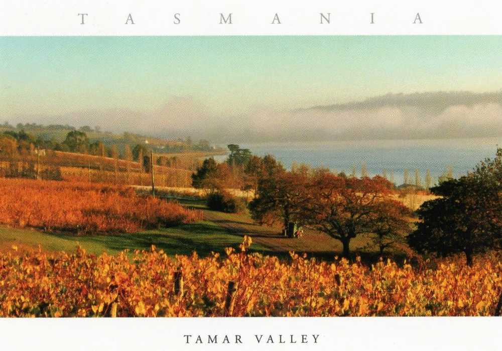 Australia Tasmania Tamar Valley Vineyards And River Unused - Andere & Zonder Classificatie