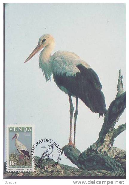 VENDA   CARTE MAXIMUM NUM.YVERT 91 FAUNE PROTECTION DE LA NATURE LES OISEAUX MIGRATEURS - Venda