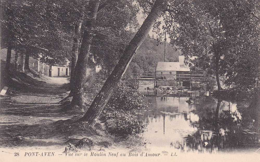 3f - 29 - Pont Aven - Finistère - Vue Sur Le Moulin Neuf Au Bois D'Amour - Pont Aven