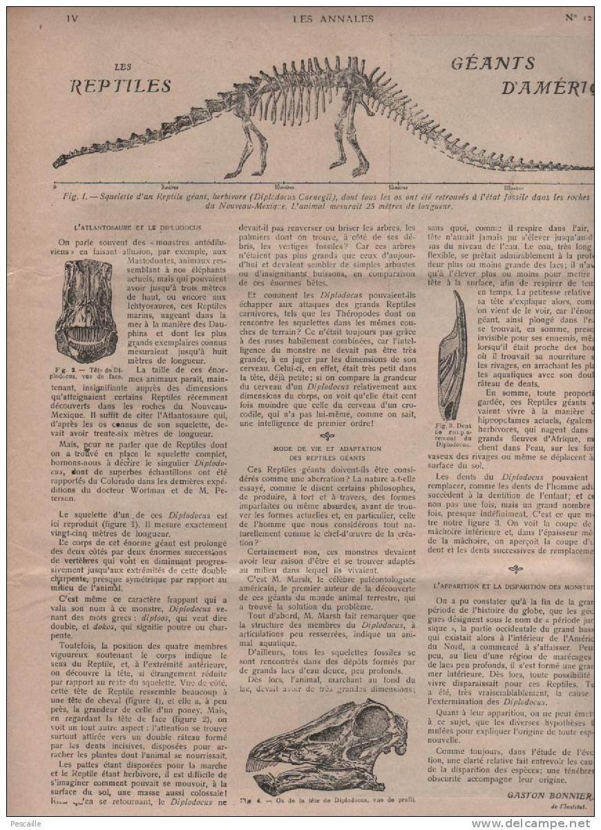 LES ANNALES 09 09 1906 - CHASSE - DE BROGLIE - JARDIN DES PLANTES - GYMNASTIQUE - RUSSIE - BEZIERS - DINOSAURES - Informations Générales