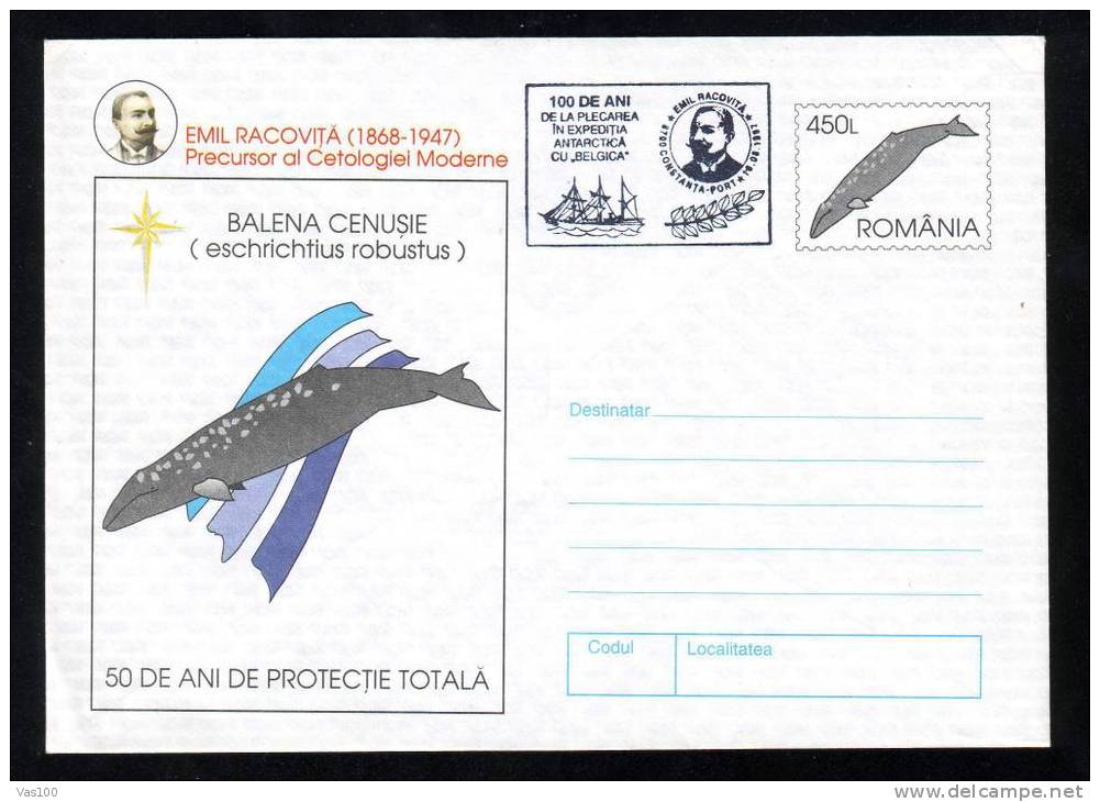 WHALE,BALEINES - HUNTING  1997 COVER POSTAL STATIONERY PMK BELGICA EXPEDITION IN ANTARCTICA. - Baleines