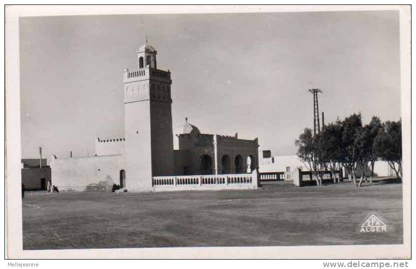 Cpsm Colomb Bechar ( Algerie ) Mosquee - Bechar (Colomb Béchar)