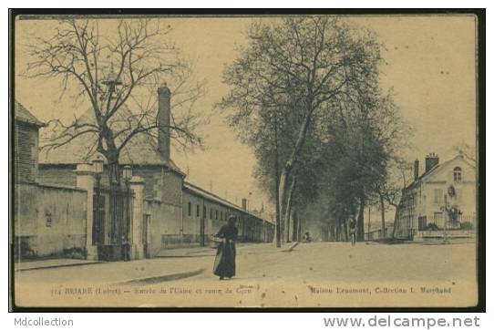 45 BRIARE / Entrée De L'usine Et Route De Gien / - Briare