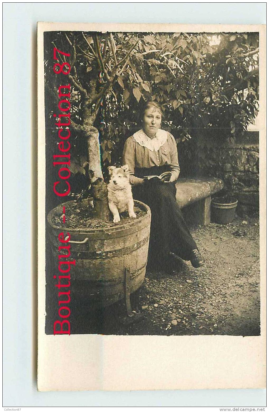 FEMME - JEUNE FILLE Avec Son CHIEN - CARTE PHOTO Des ANNEES 1910 /1920 - REAL PHOTOGRAPH POSTCARD - Fotografía