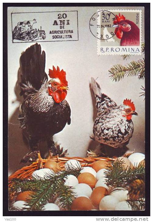 HEN BIRD 1982 MAXICARD,MAXIMUM CARD ROMANIA. - Galline & Gallinaceo