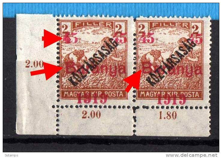 U-51  JUGOSLAVIA 1919 UNGARN BARANYA OVERPRINT Moved ERROR -B-  TYP I-TYP II- NEVER HINGED INTERESSANTE - Baranya