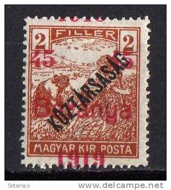 U-51  JUGOSLAVIA 1919 UNGARN BARANYA OVERPRINT Moved ERROR NEVER HINGED INTERESSANTE - Baranya