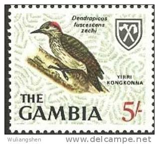 BB0591 Gambia 1966 Birds 1v MNH - Autres & Non Classés