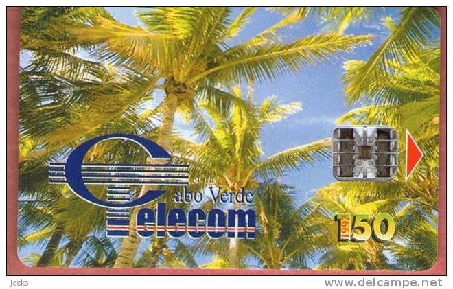 PALMS - 150. Units ( Cabo Verde 1997. ) Palm Tree Trees Cape Verde Cap Vert - Cap Vert