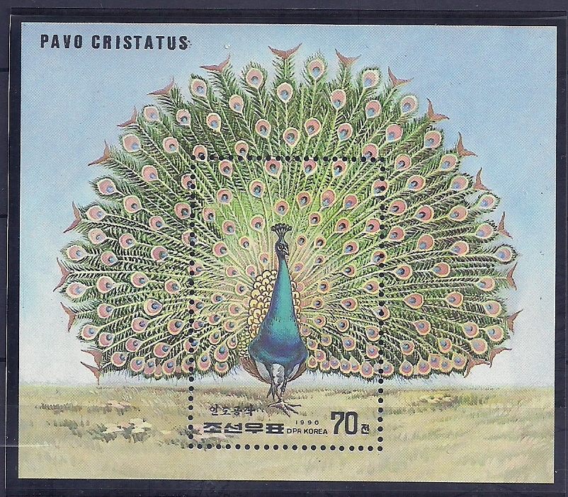 North Korea 1990 Birds Oiseaux  Aves Peafowl Sheet MNH NO PAYPAL PAYMENT - Galline & Gallinaceo