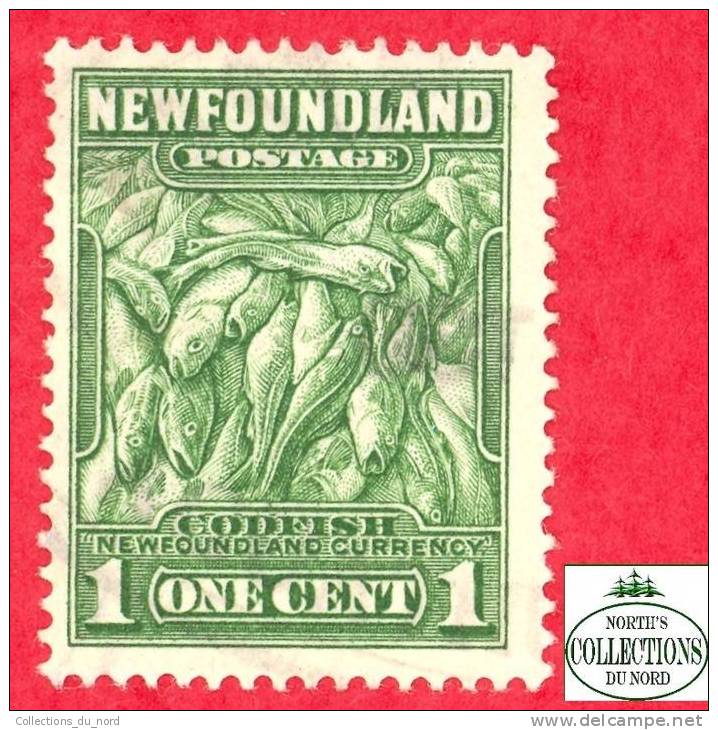 Newfoundland # 183 Scott - Unitrade - O / Terre-Neuve - 1908-1947