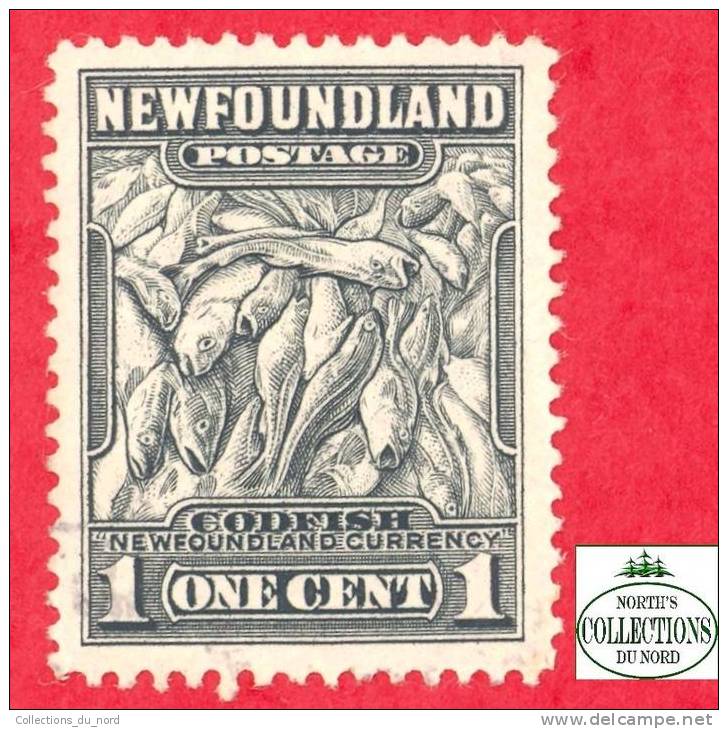 Newfoundland # 184 Scott - Unitrade - O / Terre-Neuve - 1908-1947