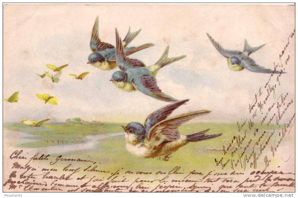 CPA PRÉCURSEUR. MÉSANGES  BLEUES & PAPILLONS . OISEAUX. FAUNE SAUVAGE - Uccelli