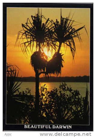 Beautiful Darwin Sunset . Fannie Bay. Territoire Du Nord Australien. Une CP Neuve - Darwin
