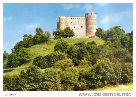 Environs De Vic-le-Comte - Château Féodal De Busséol - Vic Le Comte