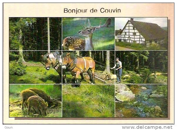 A-1-4-6 Carte Postale  Bonjour De Couvin - Couvin