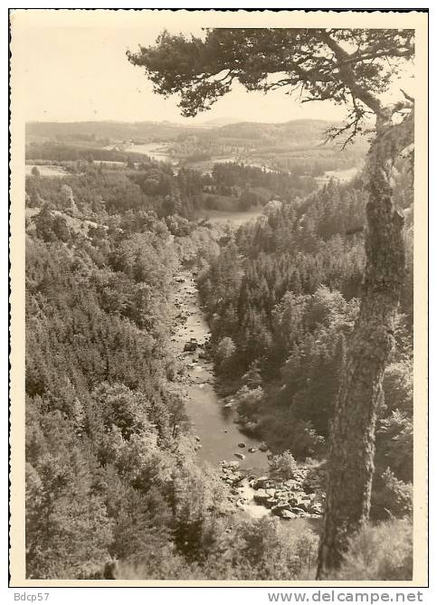 43 - HAUTE LOIRE - Le CHAMBON-sur-LIGNON - Les Gorges Du LIGNON - 10,3 X 14,5 - Le Chambon-sur-Lignon