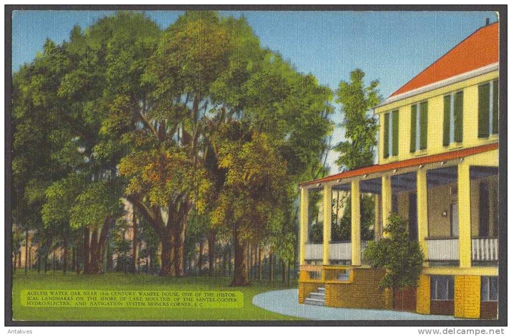 USA PC Ageless Water OAK Near 18th Century Wampee House, Moncks Corner, South Carolina - Altri & Non Classificati