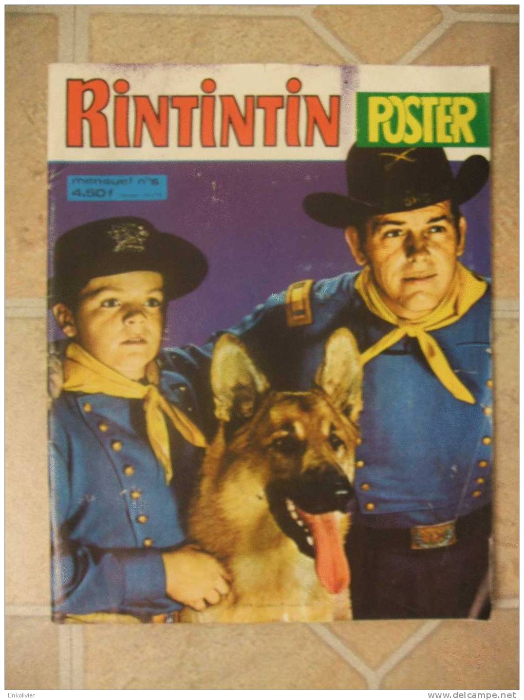RINTINTIN Mensuel N°6 POSTERS PLATINI ROCHETEAU 1978 SAGEDITION - Rintintin