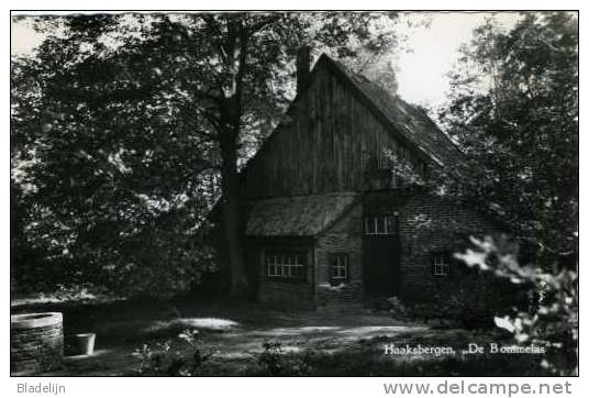 HAAKSBERGEN (Ov.) - Boederijtje (zogenaamd "los Hoes") En Rijksmonument De Bommelas (1961) - Haaksbergen