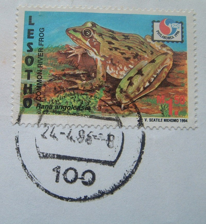 Lesotho 1996 Cover To England UK - Frog - School Logo - Lesotho (1966-...)