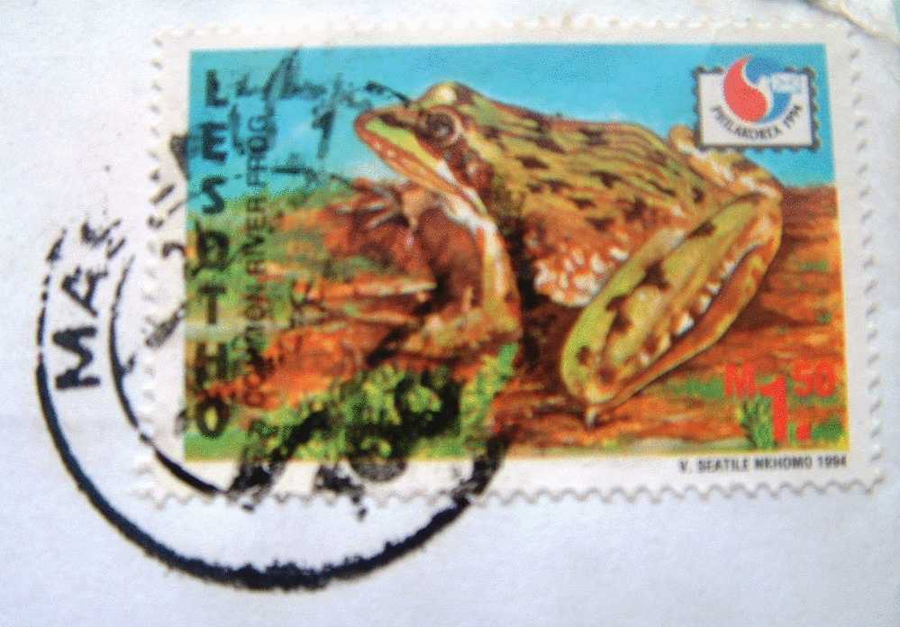 Lesotho 1996 Cover To England UK - Frog - School Logo - Lesotho (1966-...)