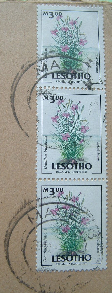 Lesotho 2000 Cover To England UK - Flower Dianthus - Sent From American School - Lesotho (1966-...)