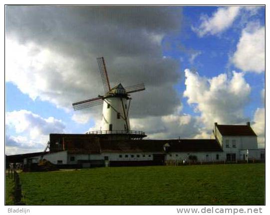 MOORSELE ~ Wevelgem (W.Vl.) - Molen / Moulin - De Witte Molen Of Grote Macht Na De Restauratie Onder Fraaie Wolkenlucht. - Wevelgem