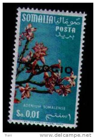SAGGIO - Somalie (1960-...)