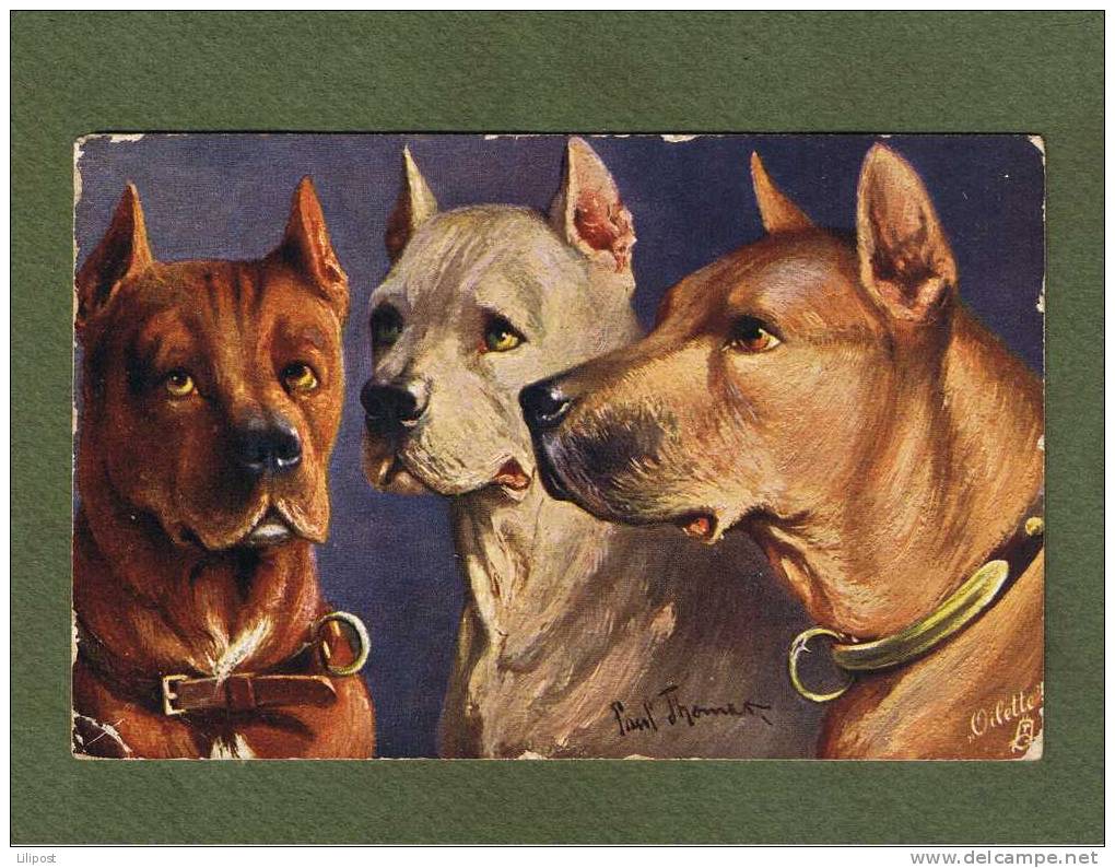 Cpa 1910 Paul Thomas - Oilette - Beaux Chiens, Dogues - Thomas