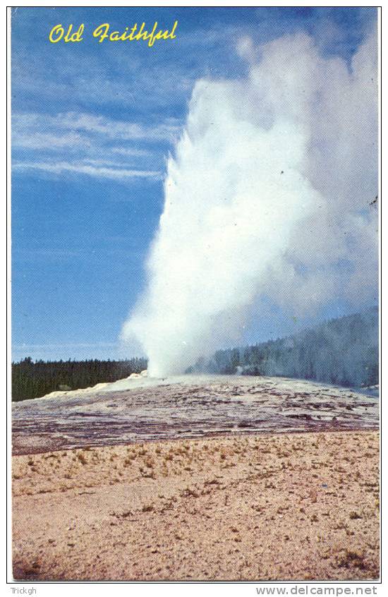 Yellowstone Park Old Faithful Geyser - Yellowstone