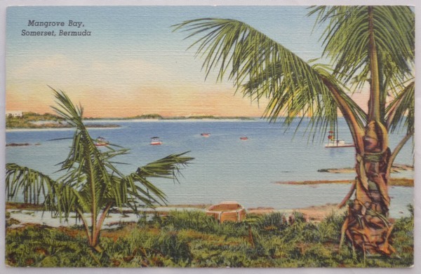 BERMUDA, Antilles - Mangrove Bay, Somerset - Ca 1930s Unused Color Postcard - Bermudes