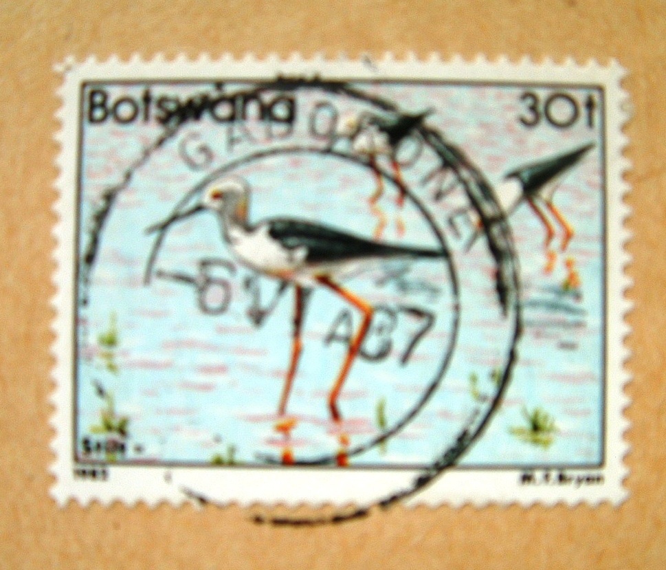 Botswana 1987 Cover To Switzerland - Bird Stilts - Botswana (1966-...)