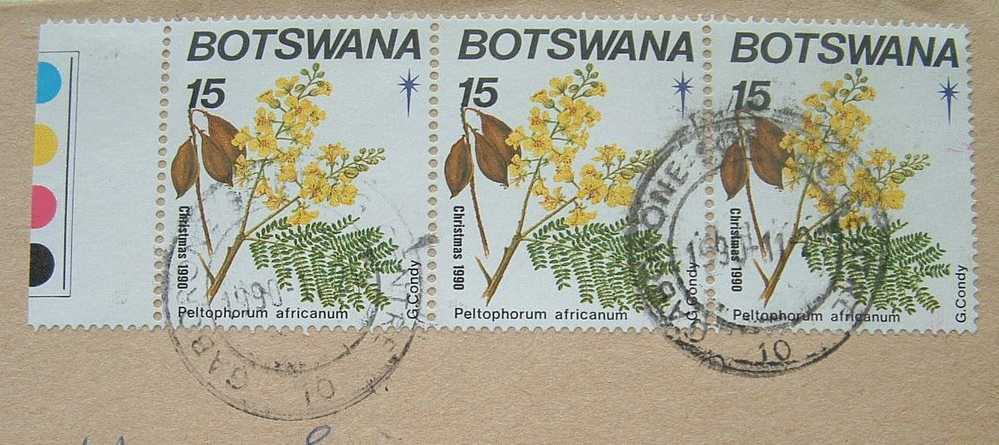 Botswana 1990 Cover To Hong Kong - Flowers Seeds Peltophorum - Botswana (1966-...)