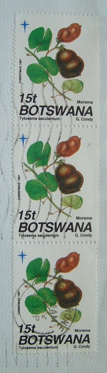 Botswana 1991 Cover To Hong Kong - Flower Seeds Peltophorum - Botswana (1966-...)