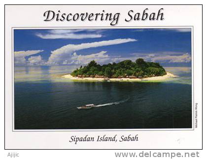 Ile De Sipadan Au Large De Sabah.  Les Plus Beaux Spots De Plongée Au Monde ! Malaysie. PRIX REDUIT! - Malaysia