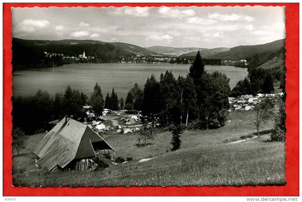 * ALLEMAGNE-TITISEE 860m ü. M.-Camping En Contrebas(Carte Photo) - Titisee-Neustadt