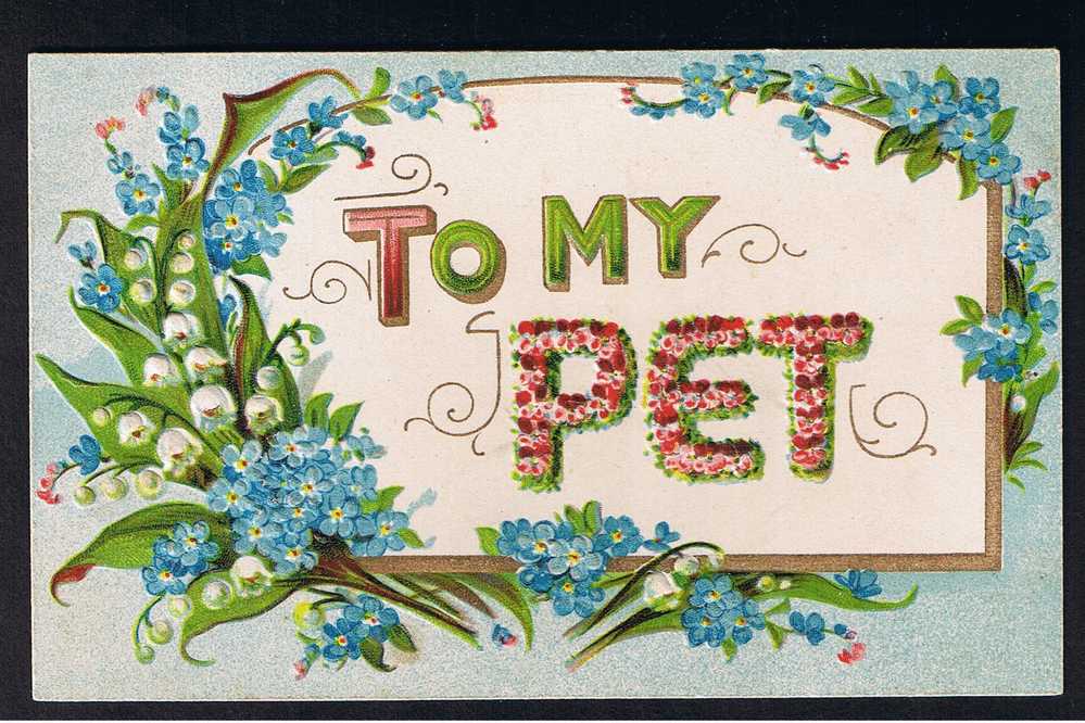 RB 634 - Unusual Eary Embossed Postcard To My Pet - Animal Theme? - Other & Unclassified