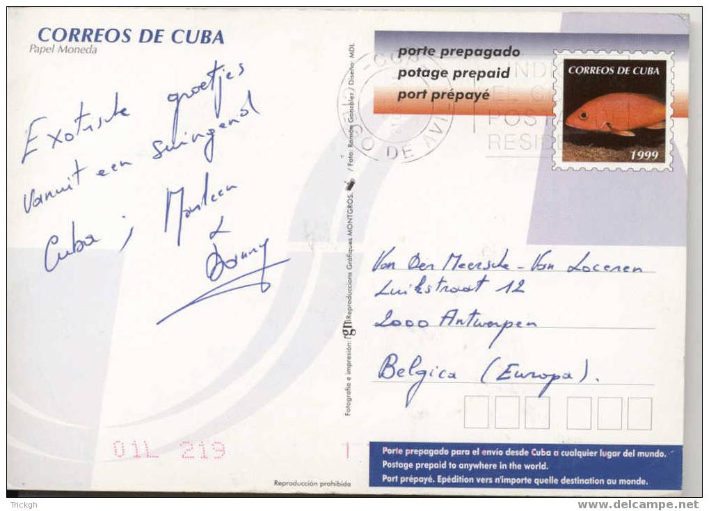 Cuba 1999 Bankbiljet Argent Banknote Money / Palm Palmier / Poisson Fish Vis / Guevara - Storia Postale